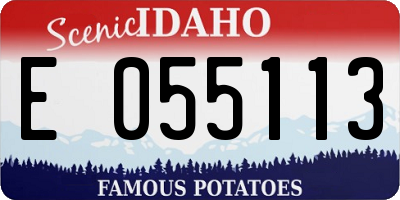 ID license plate E055113