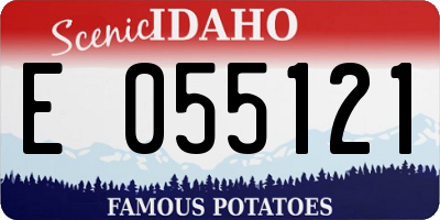 ID license plate E055121