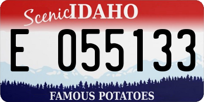 ID license plate E055133