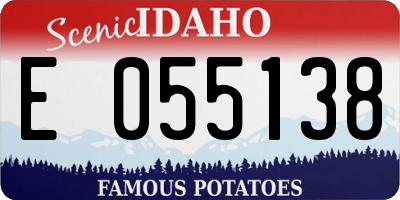 ID license plate E055138