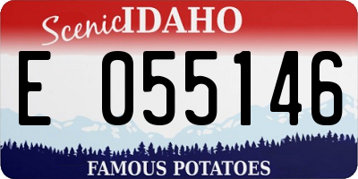 ID license plate E055146