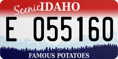 ID license plate E055160