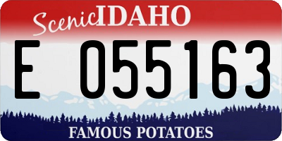 ID license plate E055163