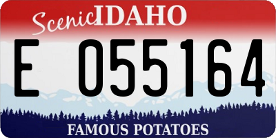 ID license plate E055164