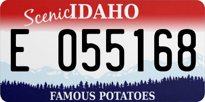 ID license plate E055168