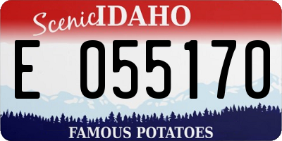 ID license plate E055170