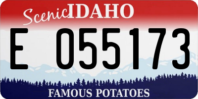 ID license plate E055173