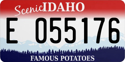 ID license plate E055176