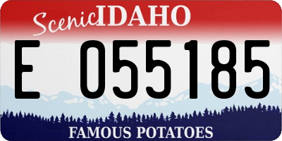 ID license plate E055185