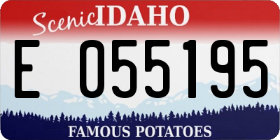 ID license plate E055195