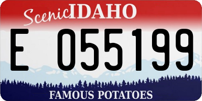 ID license plate E055199