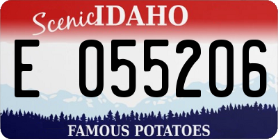 ID license plate E055206
