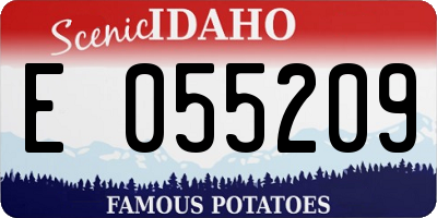 ID license plate E055209