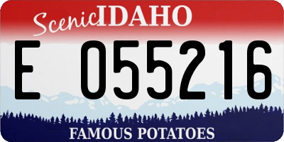 ID license plate E055216