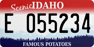 ID license plate E055234
