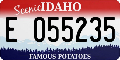 ID license plate E055235