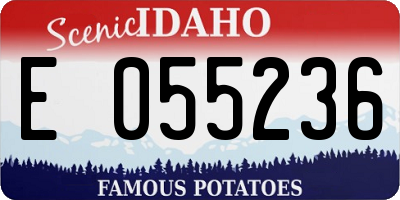 ID license plate E055236