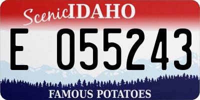 ID license plate E055243