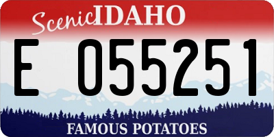 ID license plate E055251