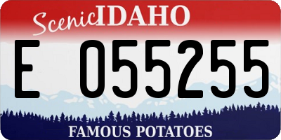 ID license plate E055255