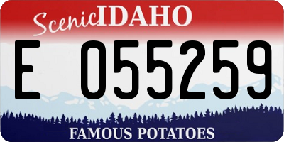 ID license plate E055259