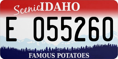 ID license plate E055260