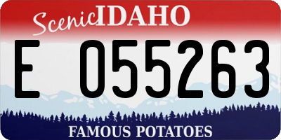 ID license plate E055263