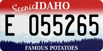 ID license plate E055265