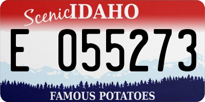 ID license plate E055273