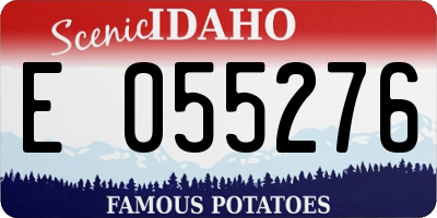 ID license plate E055276