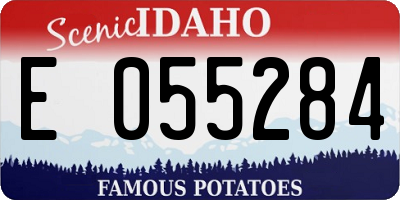 ID license plate E055284