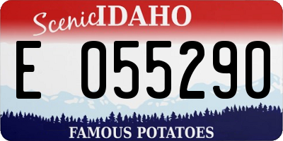 ID license plate E055290