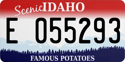 ID license plate E055293