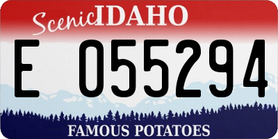 ID license plate E055294