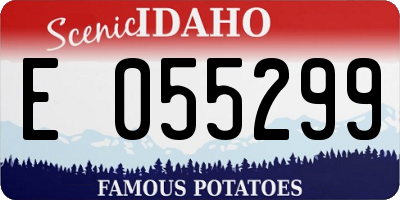 ID license plate E055299