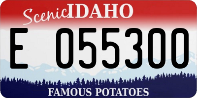 ID license plate E055300