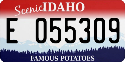 ID license plate E055309