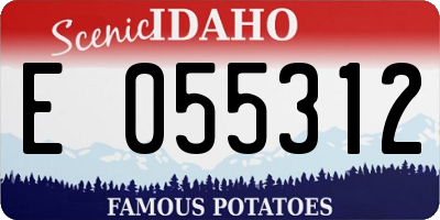 ID license plate E055312