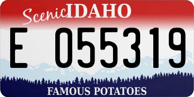 ID license plate E055319
