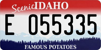 ID license plate E055335