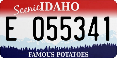 ID license plate E055341