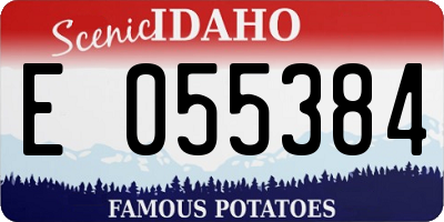 ID license plate E055384