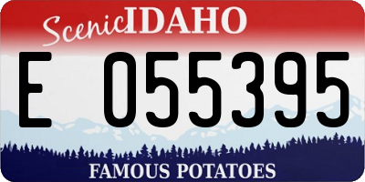 ID license plate E055395