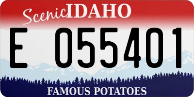 ID license plate E055401