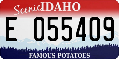 ID license plate E055409