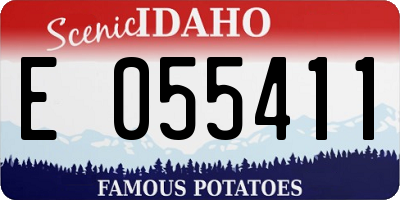 ID license plate E055411