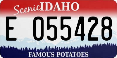 ID license plate E055428