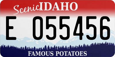 ID license plate E055456