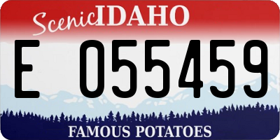 ID license plate E055459