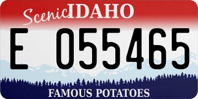 ID license plate E055465